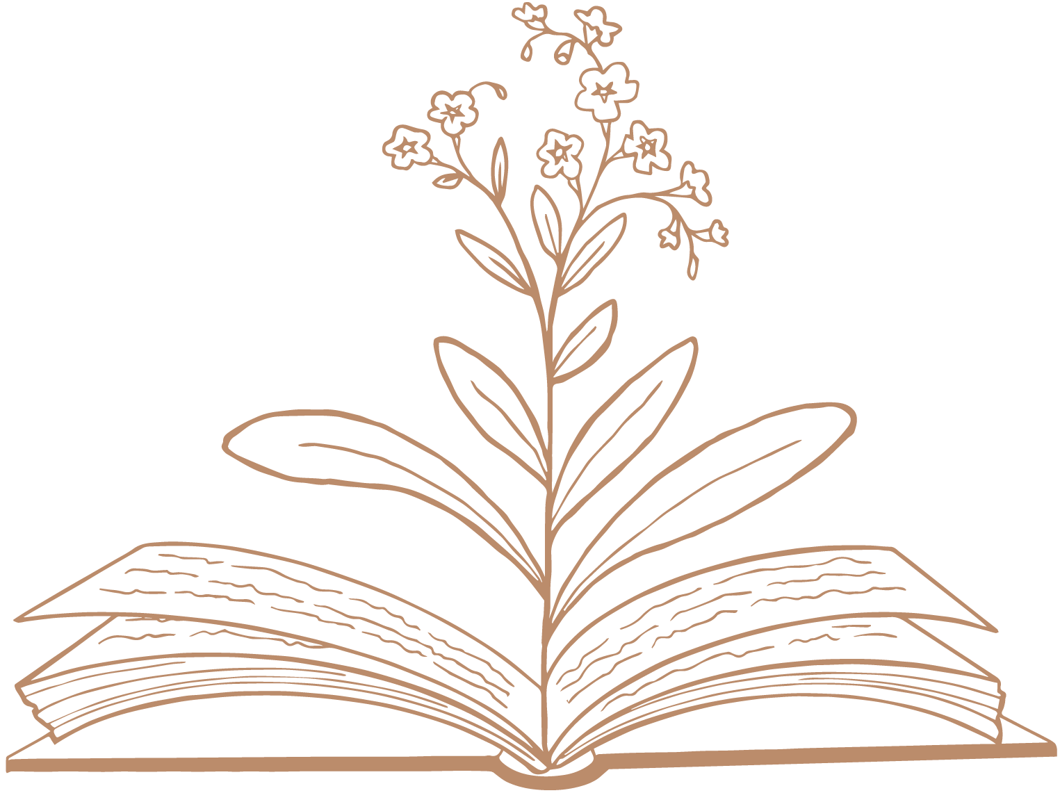 Book of Stories logo